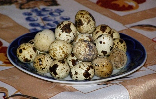 перепелиные яйца, продажа, доставка.